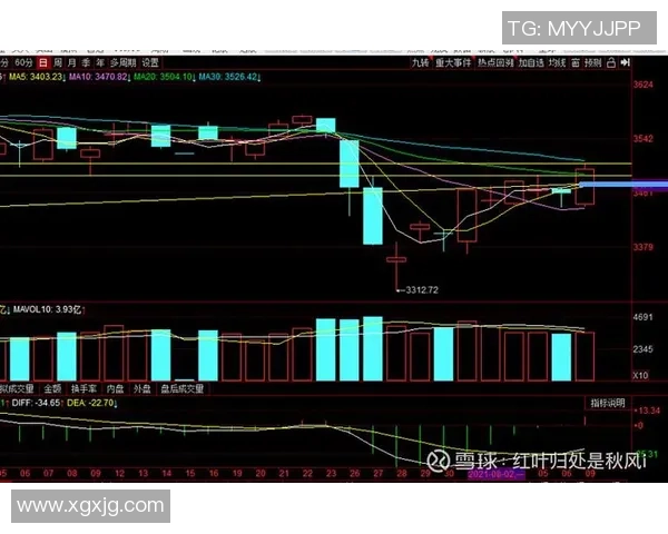 杭州篮球队与上海篮球队赛后复盘分析比赛节奏与战术对决